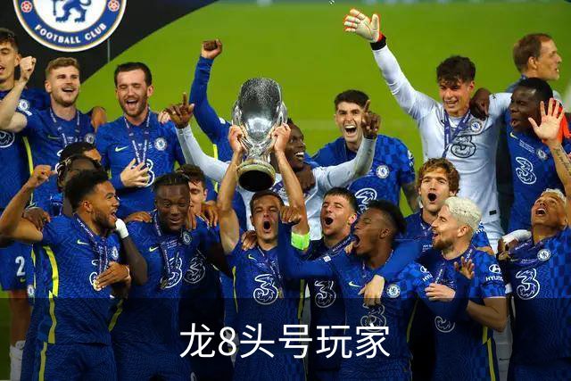 龙8头号玩家公司简介图片
